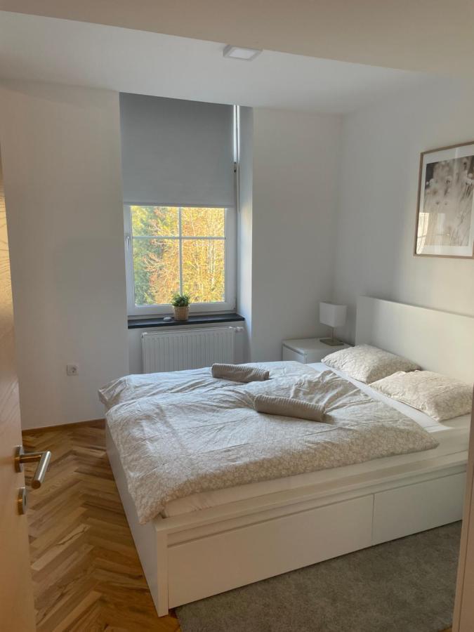 Casa Park Premium Free Parking Lejlighed Maribor Eksteriør billede